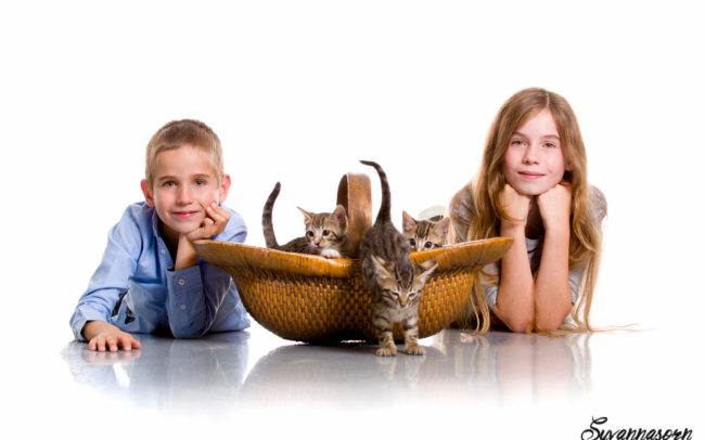 photographe petshoot petbook animaux chat chaton geneve geneva enfant portrait