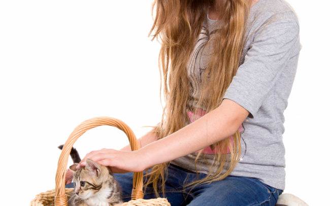 photographe petshoot petbook animaux chat chaton geneve geneva enfant